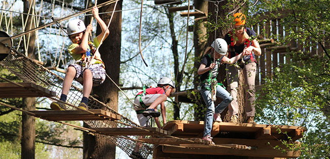 Harderwijk bekommt einen einzigartigen Kletterwald!